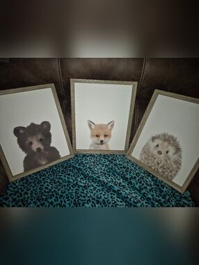3 Leah Straastma Animal Canvas Wall Art